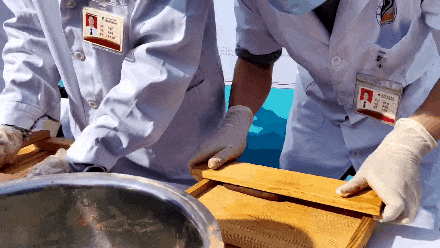 091421yh298hbh20byy18b.gif