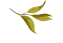 112117l6oo5oe66q55o5iz.gif