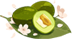 090322f6v6ntwgrt1n7666.png
