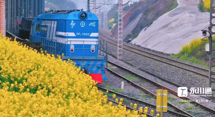 102936cy9r0eyobuiqurc9.png