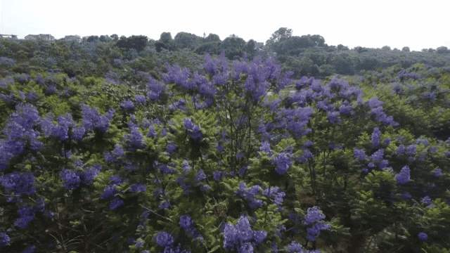 091107kif12i92dtbb51nk.gif