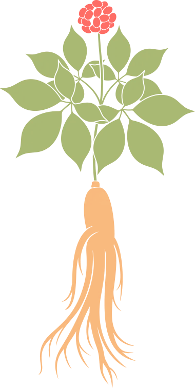 095838df86id0d2knk58ff.png