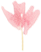 115041i5yygybgd00xn0ds.png