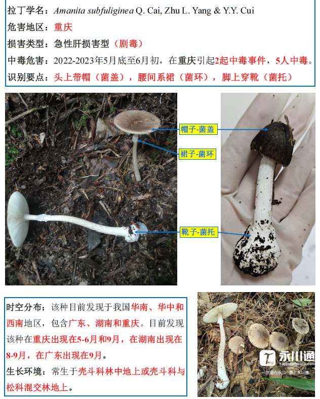 164035c7is5js7isnofs07.png
