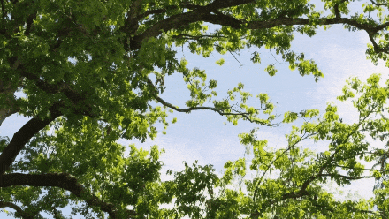 144355m0xd460rwjxrlde0.gif
