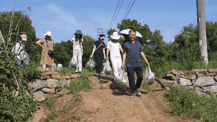 144356a660n37bpp30t0sn.gif