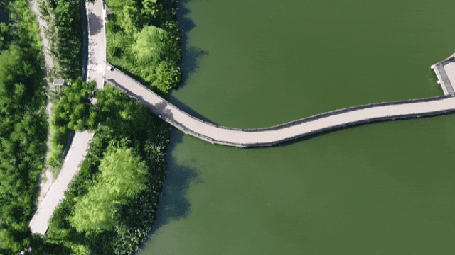 154346ddgdojnc6c3nd22x.gif