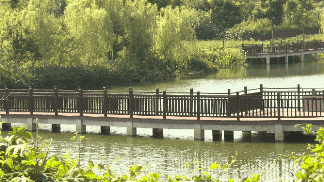154346ql0mx0e0wwerxdhl.gif