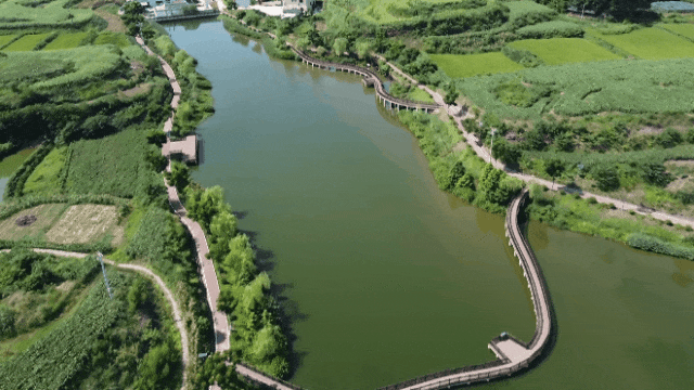 154347dycgxq6hzq67y7gx.gif