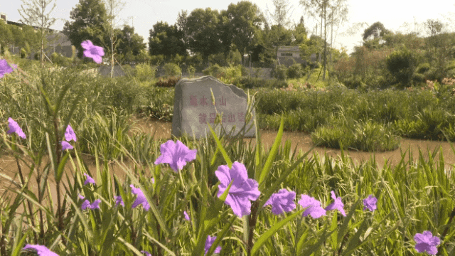 154347v3mbwzsm6931q679.gif