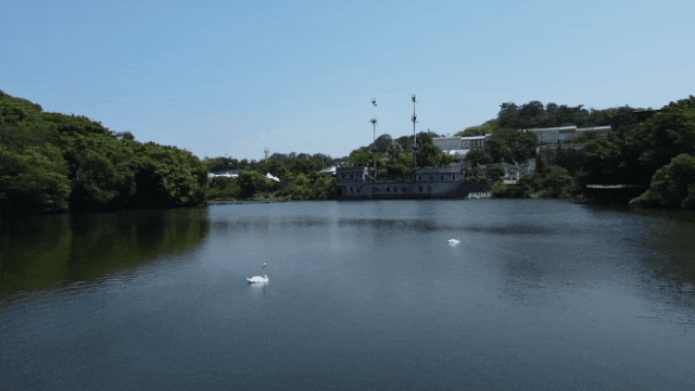 154348edzk6jmdg4mjxx49.gif