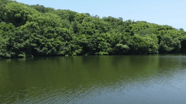 154348xarypj3jppoprk6d.gif