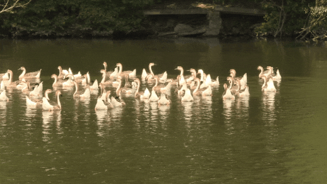 154348yaer1xx51e8m0k58.gif