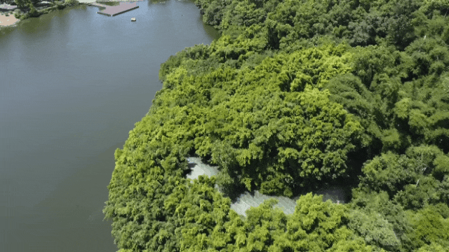 154349kpxw59aw5kdd9haa.gif