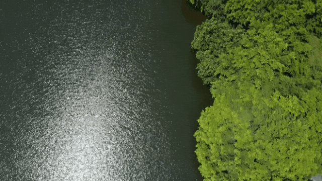 154349rxzdlqiotqij34rd.gif