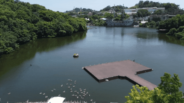 154349vmlxl3m9i35koxry.gif