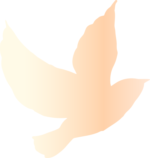 144340tuss9fv92xesx9ef.png